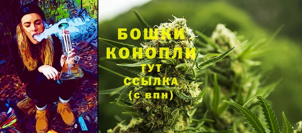 винт Баксан
