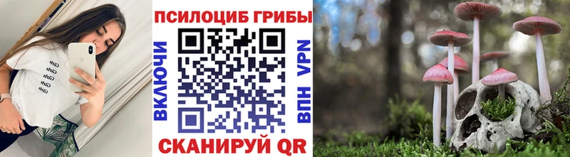 Псилоцибиновые грибы GOLDEN TEACHER  Афипский 